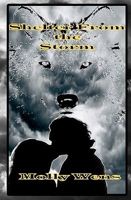 Shelter from the Storm book cover