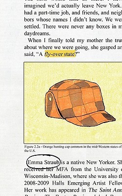 Fly Over State book cover