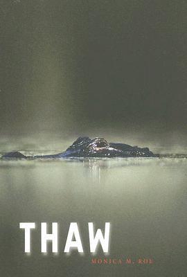 Thaw book cover