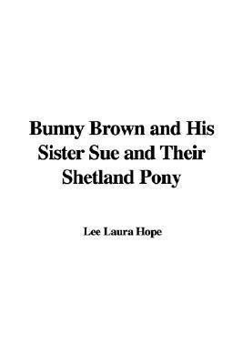Bunny Brown and His Sister Sue and Their Shetland Pony book cover