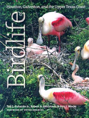 Birdlife of Houston, Galveston, and the Upper Texas Coast by Ted L ...