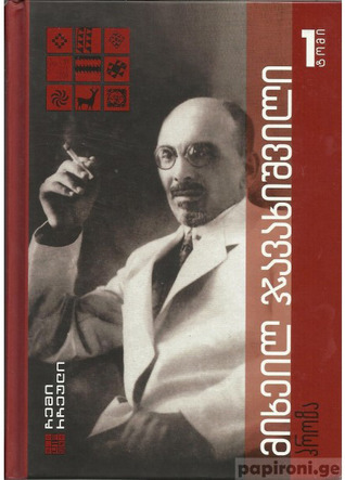 ჩემი რჩეული - მიხეილ ჯავახიშვილი book cover 1