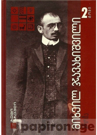 ჩემი რჩეული - მიხეილ ჯავახიშვილი book cover 2