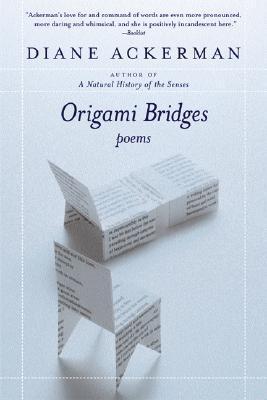 Origami Bridges book cover
