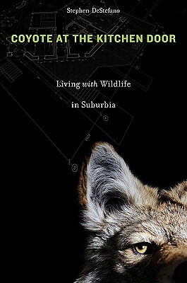 Coyote at the Kitchen Door book cover