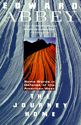 The Journey Home book cover