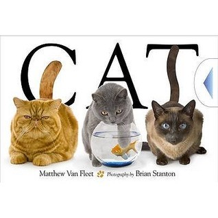 Cat book cover