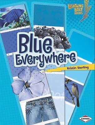 Lightning Bolt Books ® - Colors Everywhere book cover 2