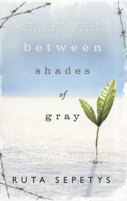 Between Shades of Gray