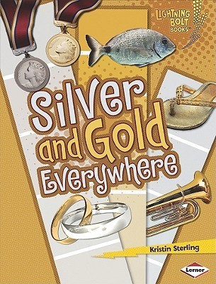 Silver and Gold Everywhere book cover
