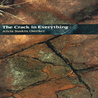 The Crack In Everything book cover
