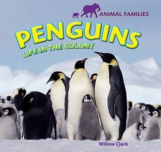 Penguins: Life in the Colony (Animal Families) by Willow Clark | Goodreads