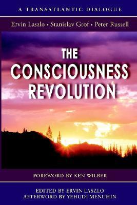 The Consciousness Revolution book cover