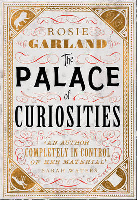 The Palace of Curiosities book cover