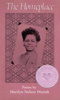 The Homeplace book cover