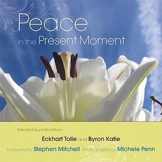 Peace in the Present Moment book cover