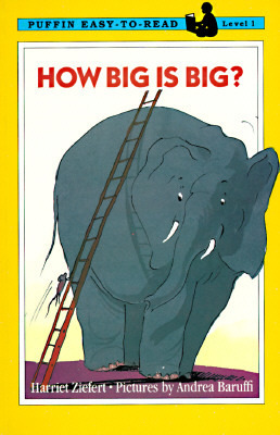How Big is Big? book cover