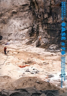 OASE 76 book cover
