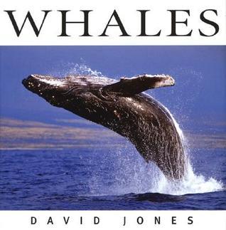 Whales book cover