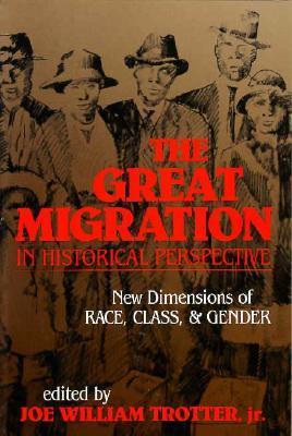 The Great Migration in Historical Perspective book cover