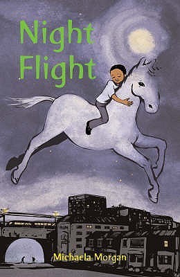 Night Flight by Michaela Morgan | Goodreads