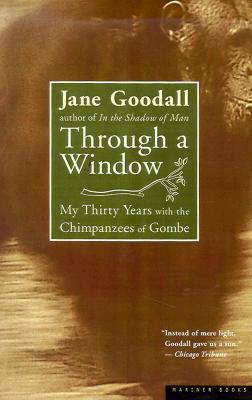 Through a Window book cover
