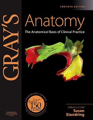 Gray's Anatomy: The Anatomical Basis of Clinical Practice