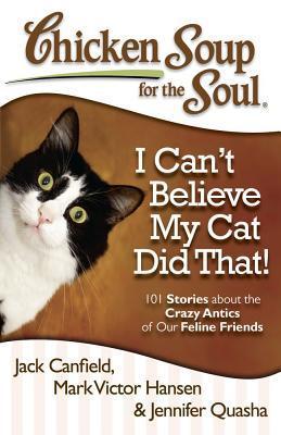 Chicken Soup for the Soul book cover