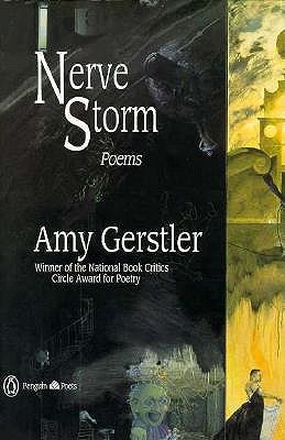 Nerve Storm book cover