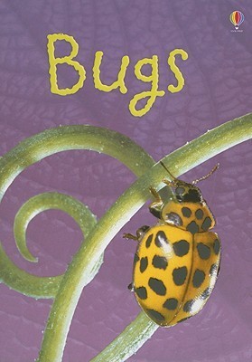 Bugs book cover