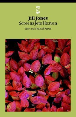 Screens Jets Heaven book cover