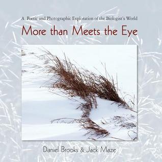 More than Meets the Eye by Jack Maze Daniel Brooks | Goodreads