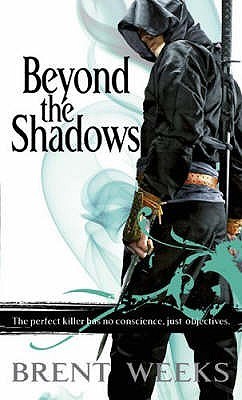 Beyond the Shadows (Night Angel, #3)