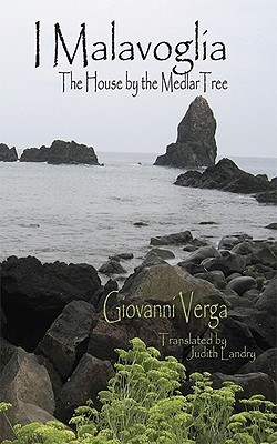 Il ciclo dei vinti book cover 2