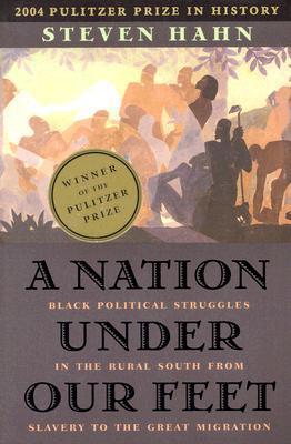 A Nation Under Our Feet book cover