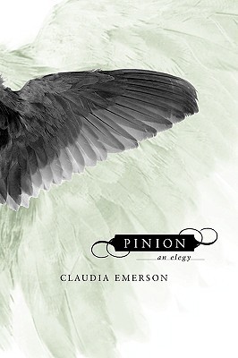 Pinion book cover