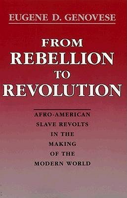 From Rebellion to Revolution book cover