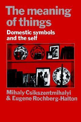 The Meaning of Things book cover