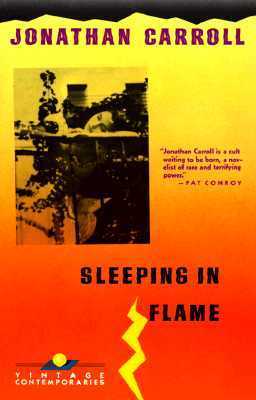 Cover of Sleeping in Flame