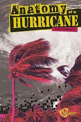 Anatomy of a Hurricane (Velocity) by Terri (Terri Sievert) Dougherty ...