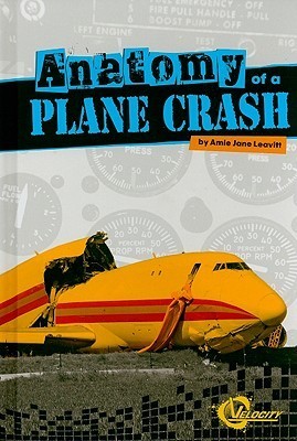 Anatomy of a Plane Crash book cover