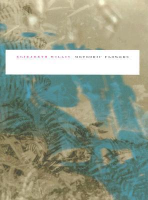 Meteoric Flowers book cover