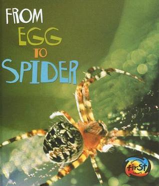From Egg to Spider book cover
