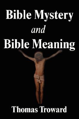 Bible Mystery and Bible Meaning book cover