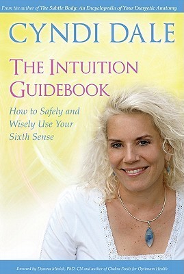 The Intuition Guidebook book cover