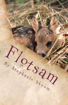 Flotsam cover