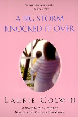 A Big Storm Knocked It Over book cover