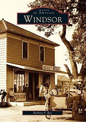 Windsor book cover