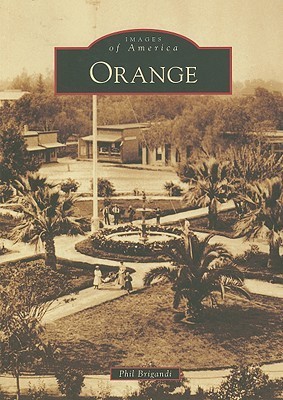 Orange book cover
