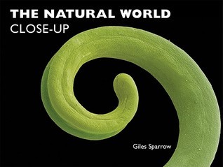 The Natural World Close-Up book cover